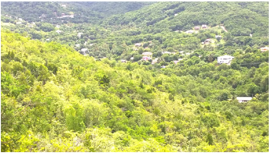 land for sale at monchy gros islet