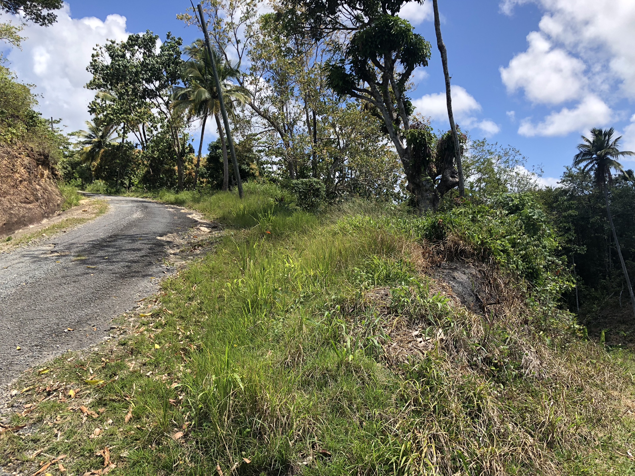 Agricultural Land - Flat to gently sloping for sale in Laborie
