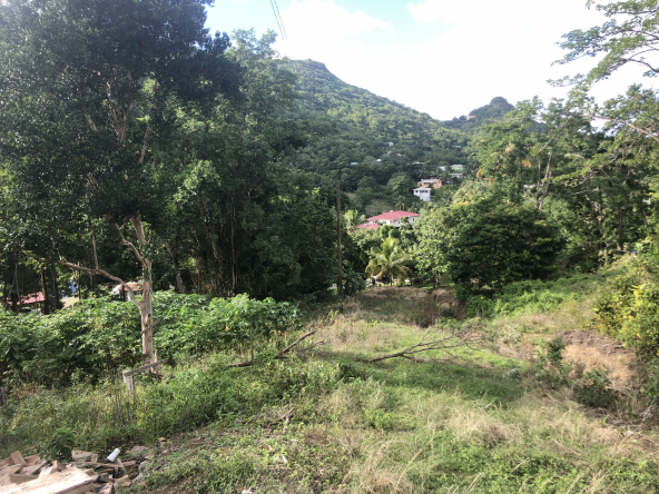 land for sale at monchy St Lucia Caribbean