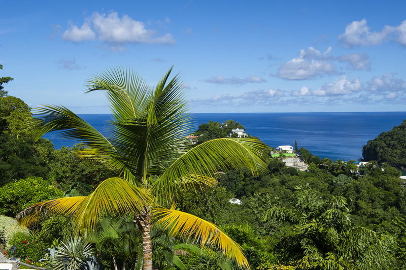 can foreigners buy property in st lucia?