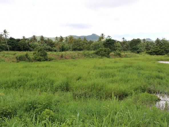 5 Acres Farm Land with 2 Ponds For Sale in Dennery
