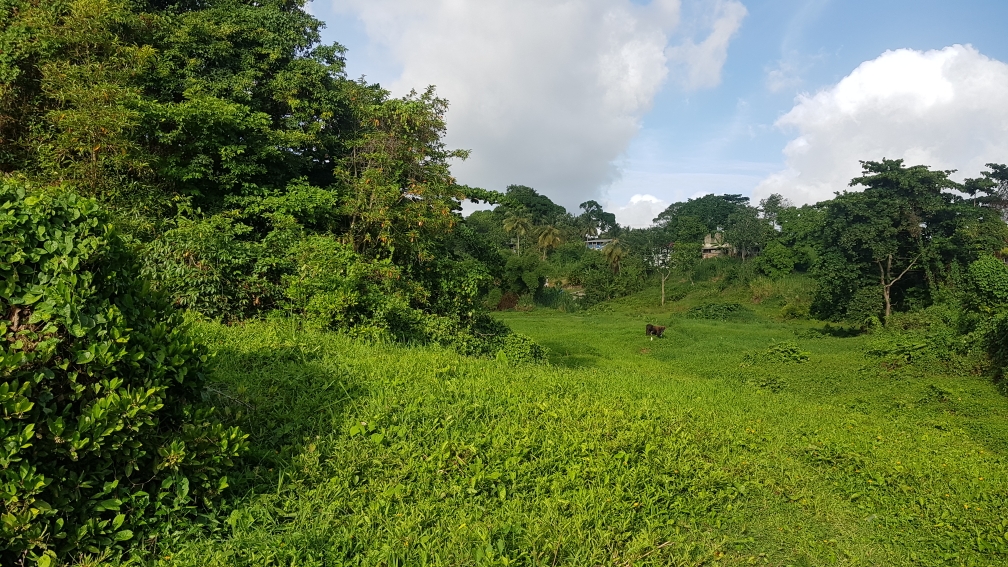 st lucia real estate land