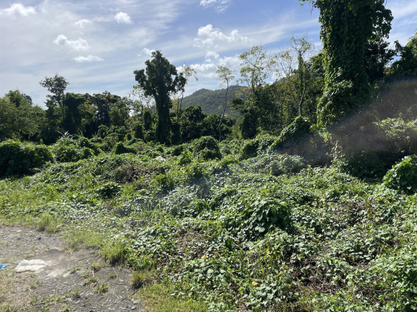 land for sale in augier vieux fort st lucia