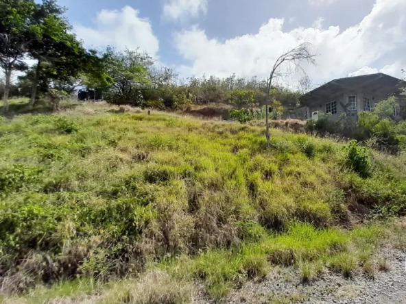 Land For Sale In Micoud tirocher st lucia
