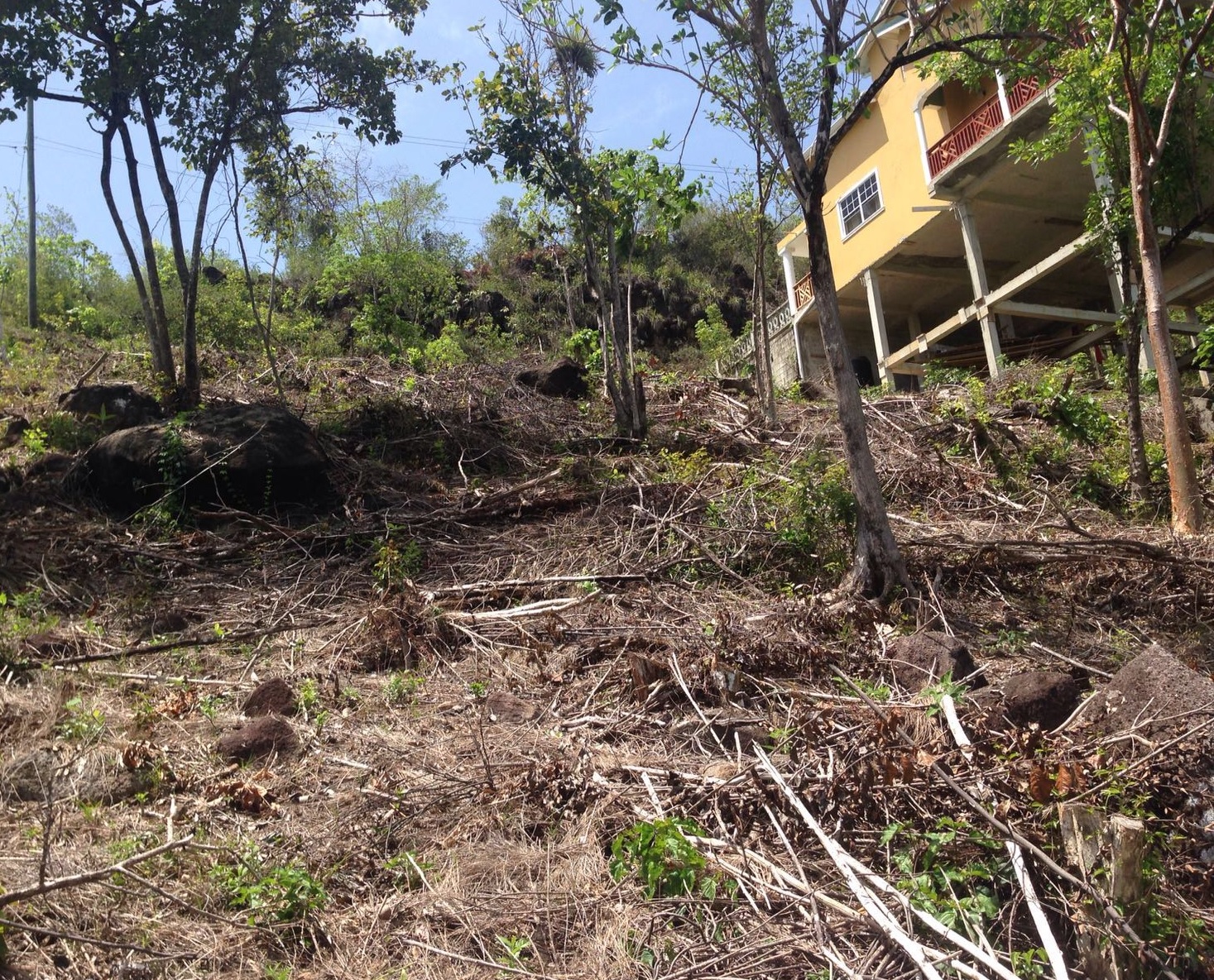 land for sale in st lucia