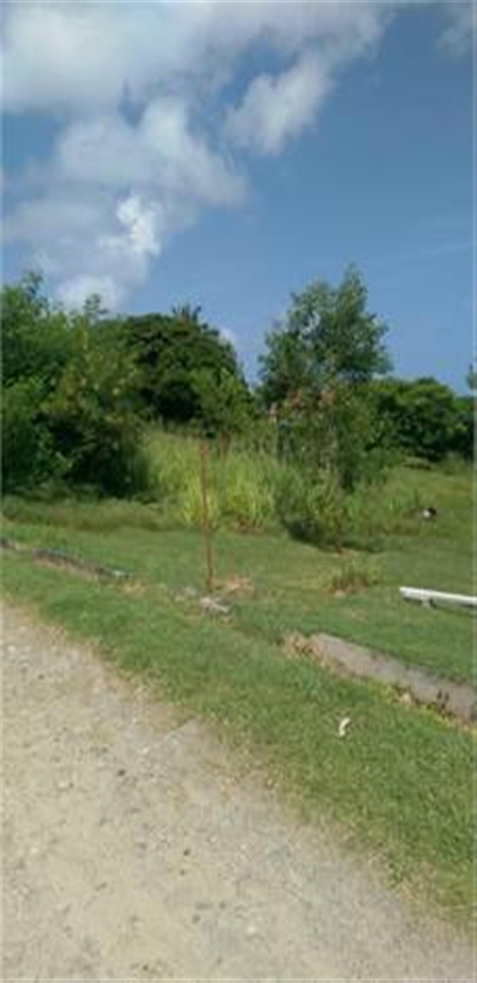 st lucia villas for sale
