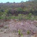 land for sale in st lucia