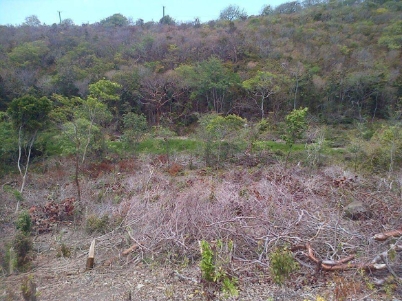 land for sale in st lucia