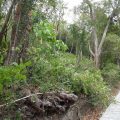 land for sale in st lucia