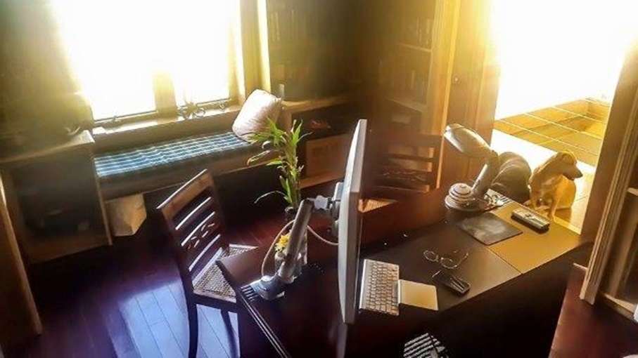 realtors in st lucia