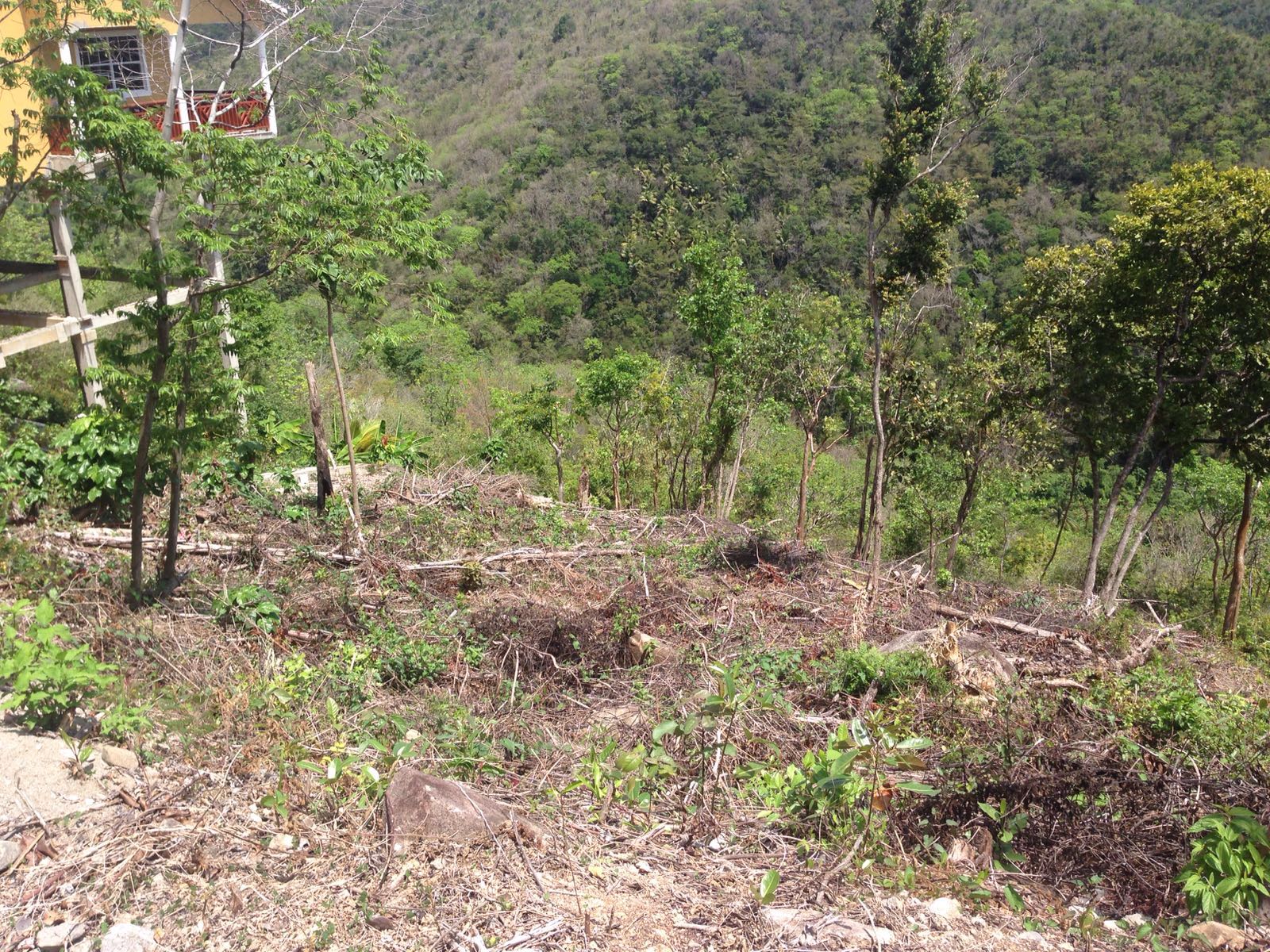 land for sale in st lucia
