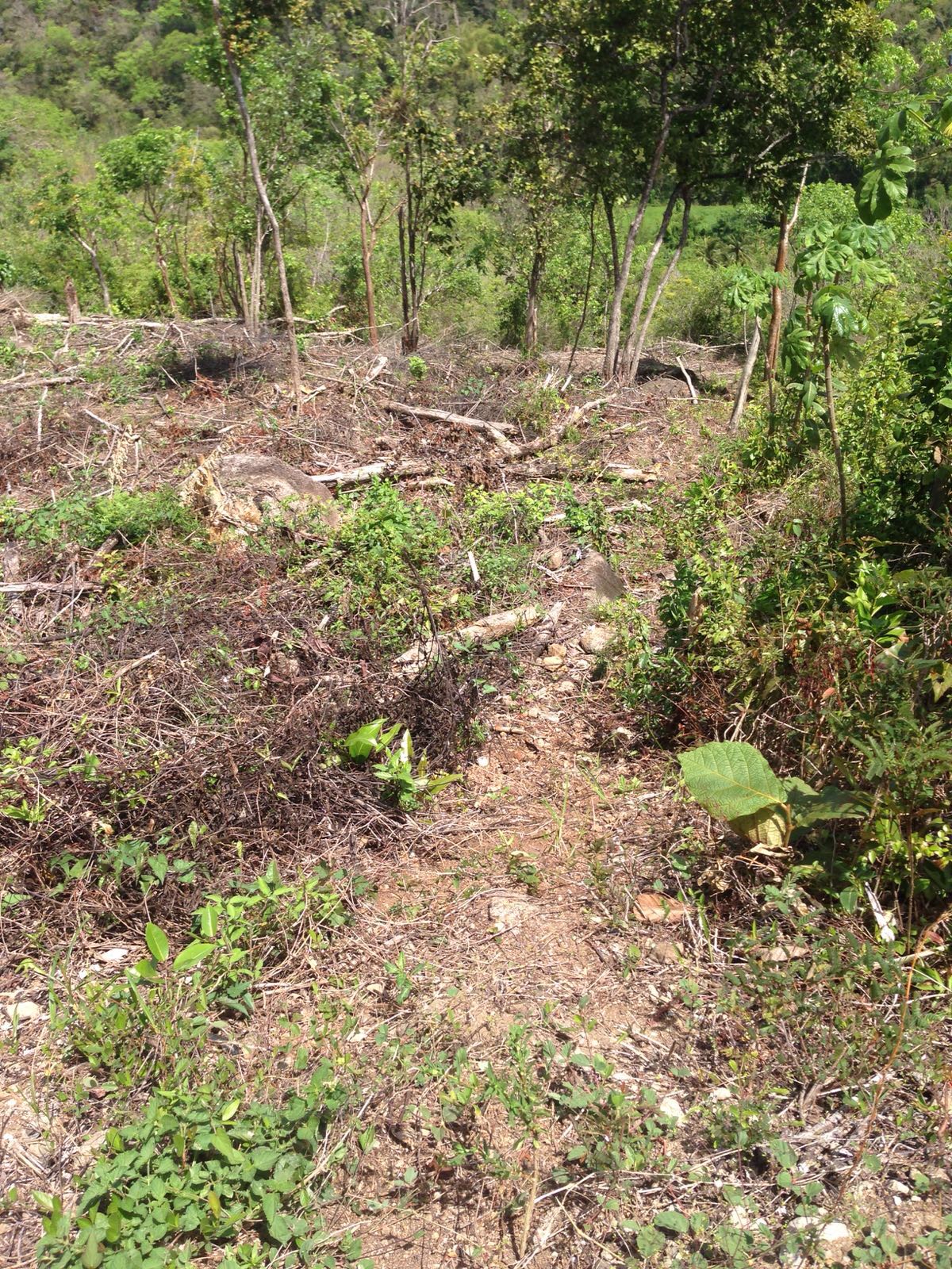 land for sale in st lucia