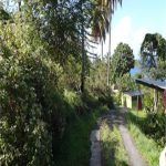villas to rent in st lucia