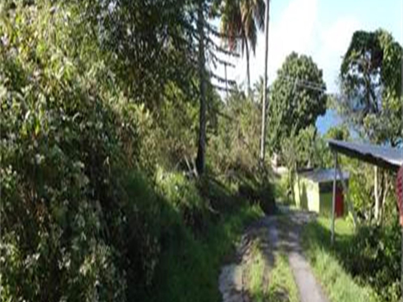 villas to rent in st lucia