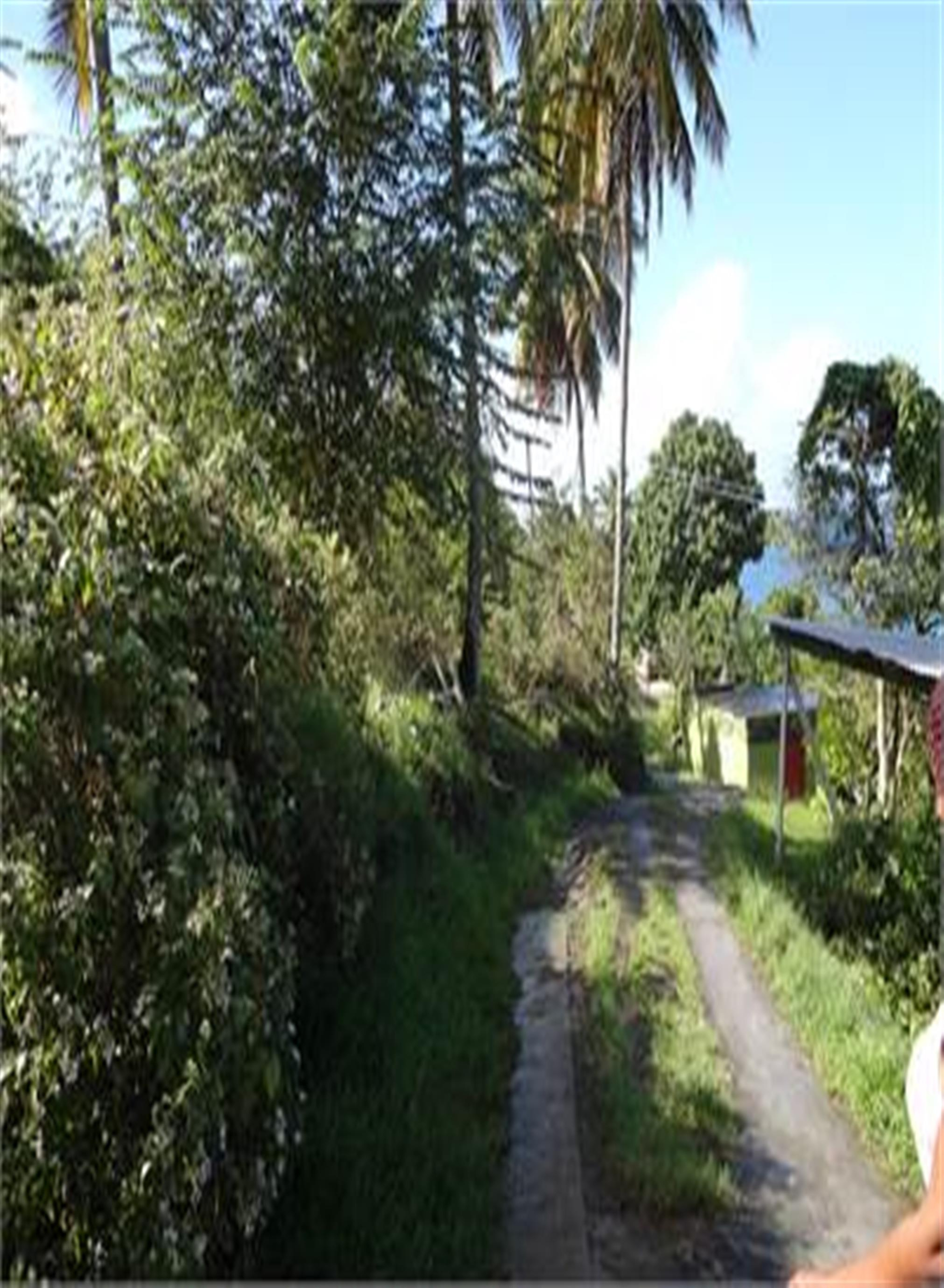 4 villas to rent in st lucia
