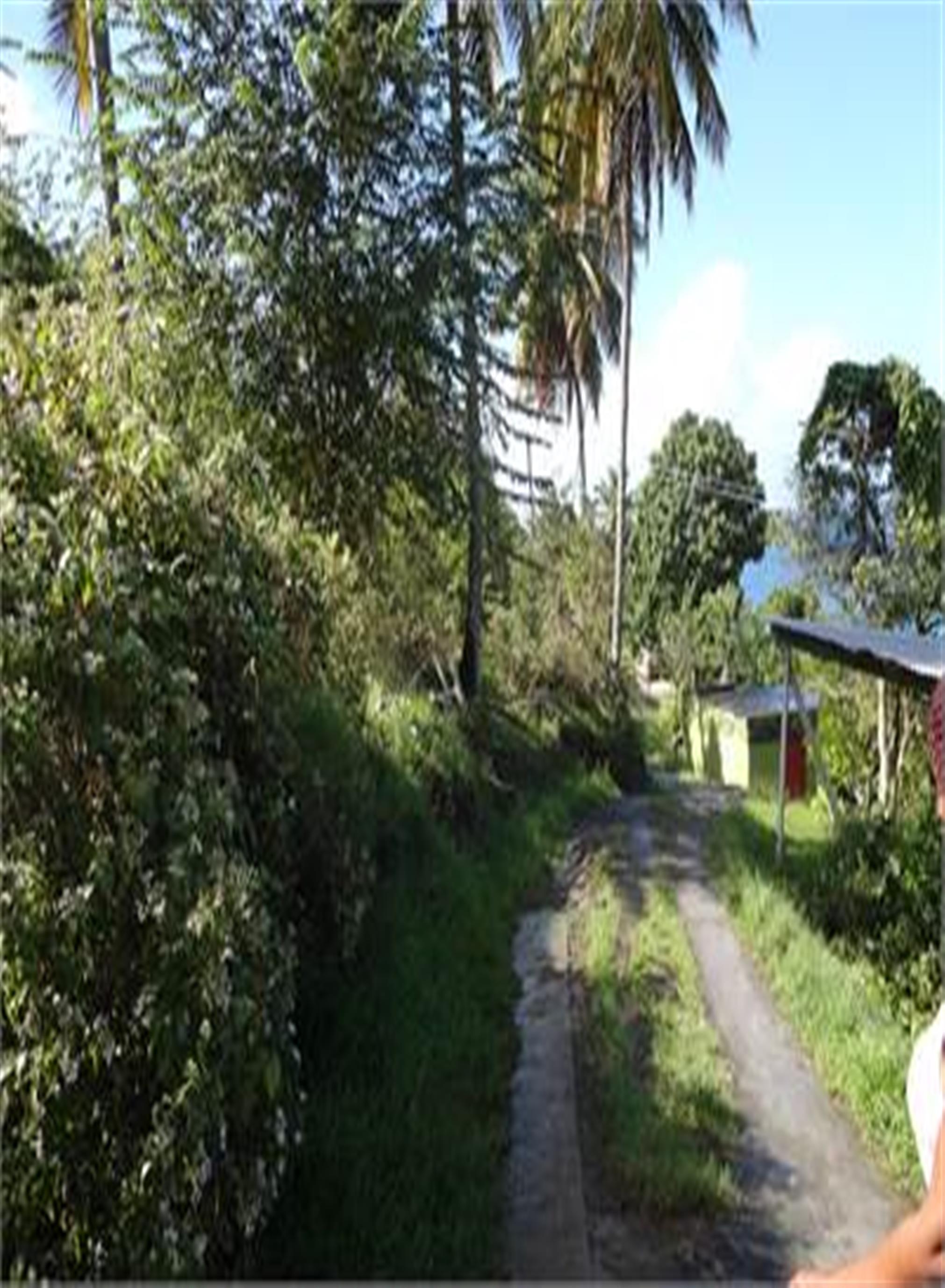 villas to rent in st lucia