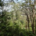 land for sale in st lucia