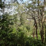 land for sale in st lucia