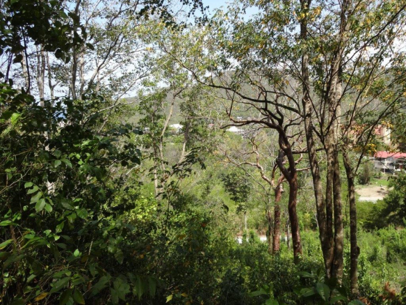 land for sale in st lucia