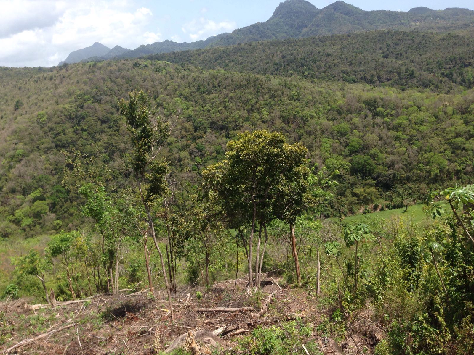 land for sale in st lucia