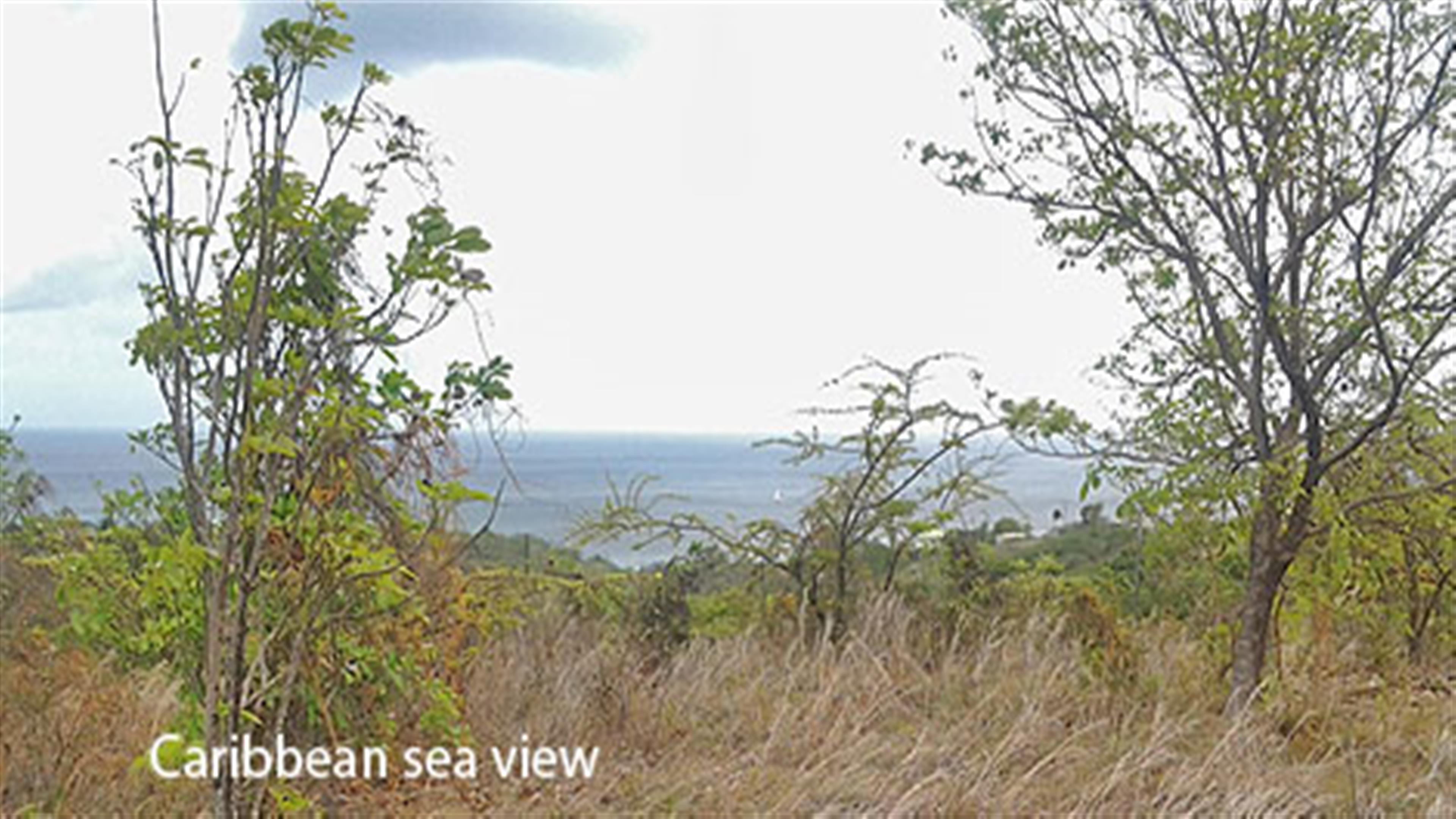 st lucia condos for sale