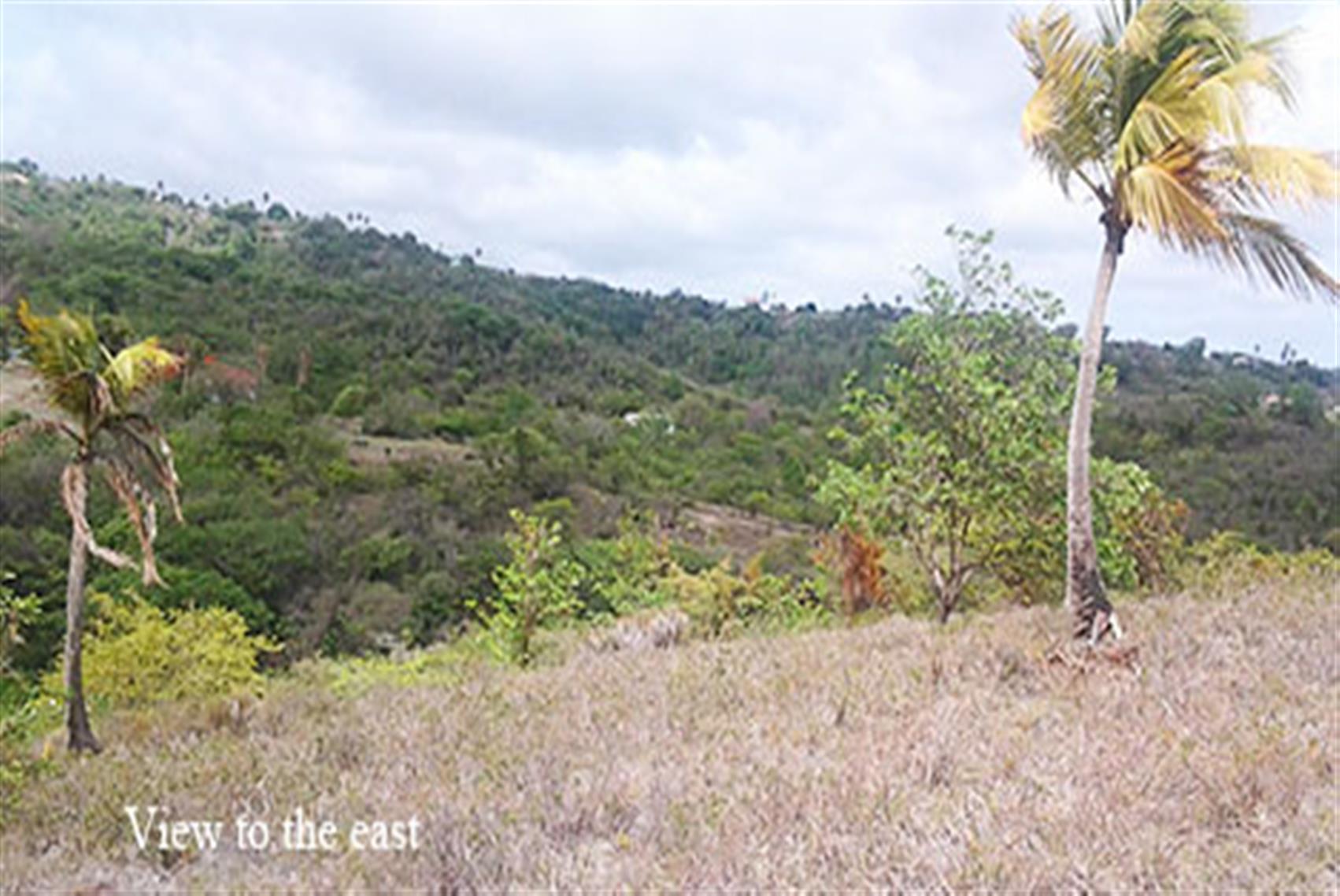 real estate st lucia caribbean