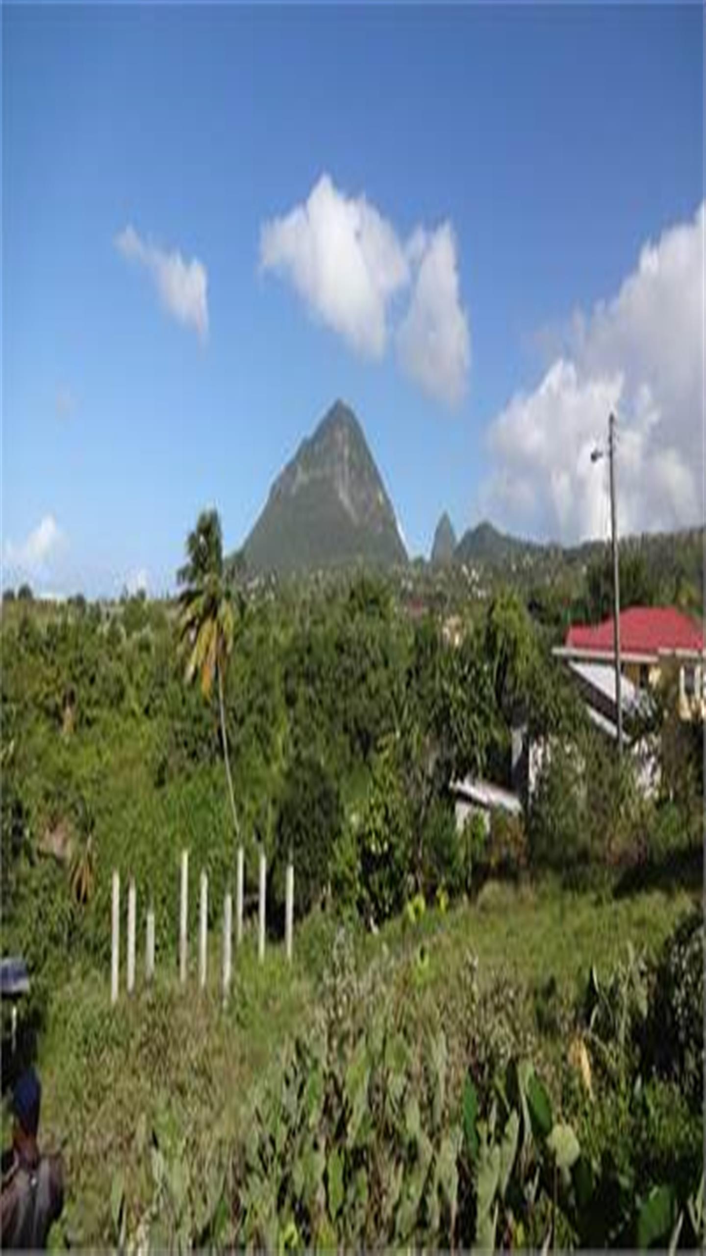 apartments for rent in st lucia