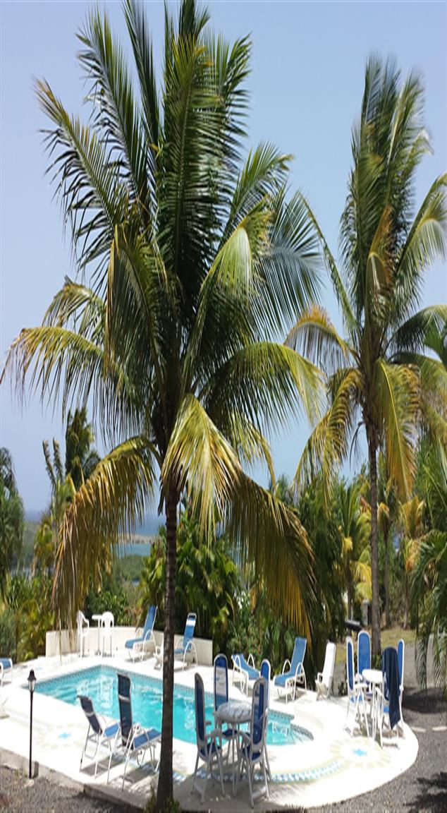 real estate st lucia west indies