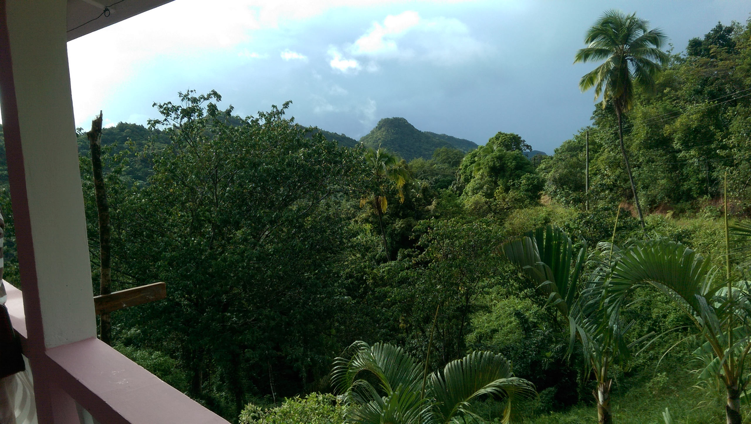 buying real estate st Lucia