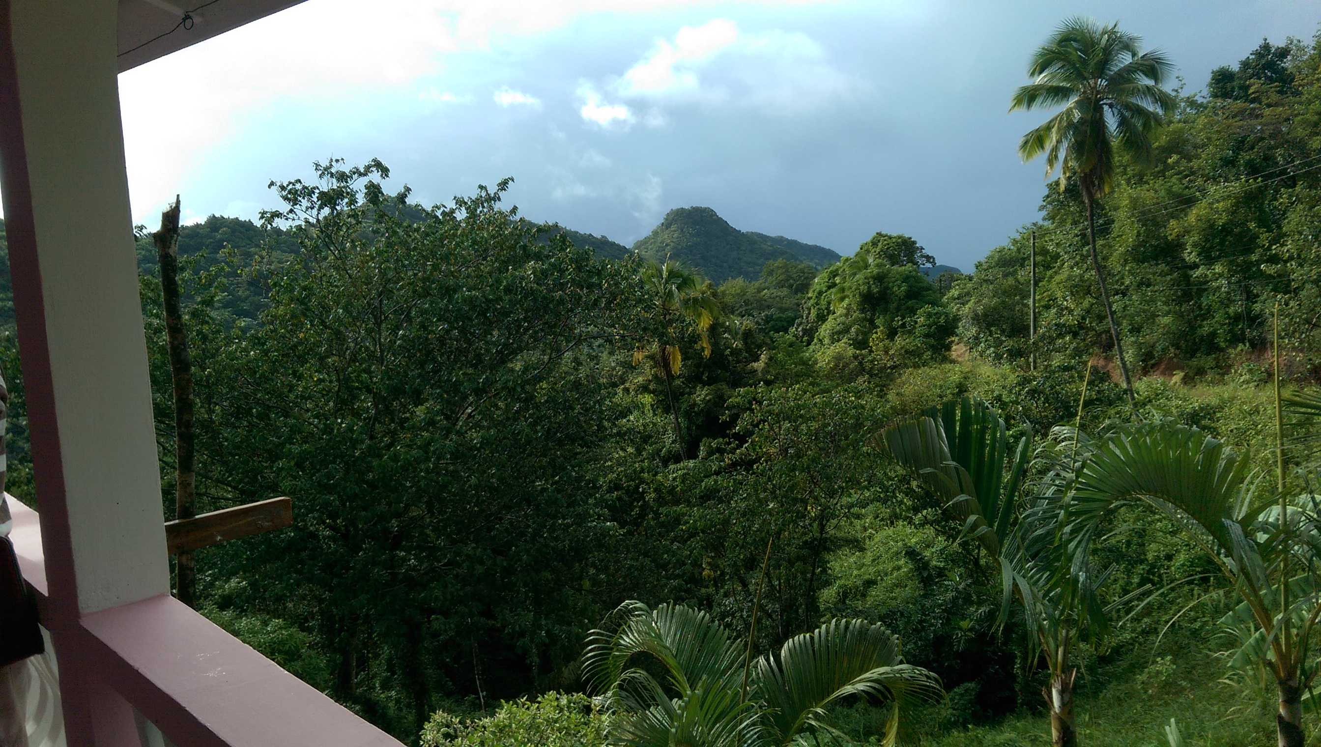 buying real estate st Lucia