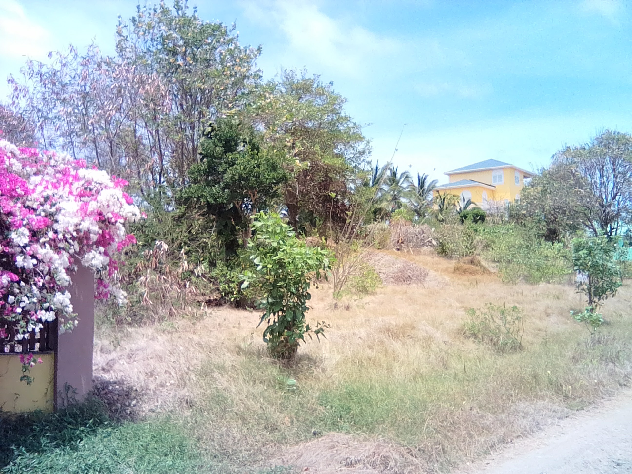 Land for Purchase at Black Bay Vieux-Fort Saint Lucia flower