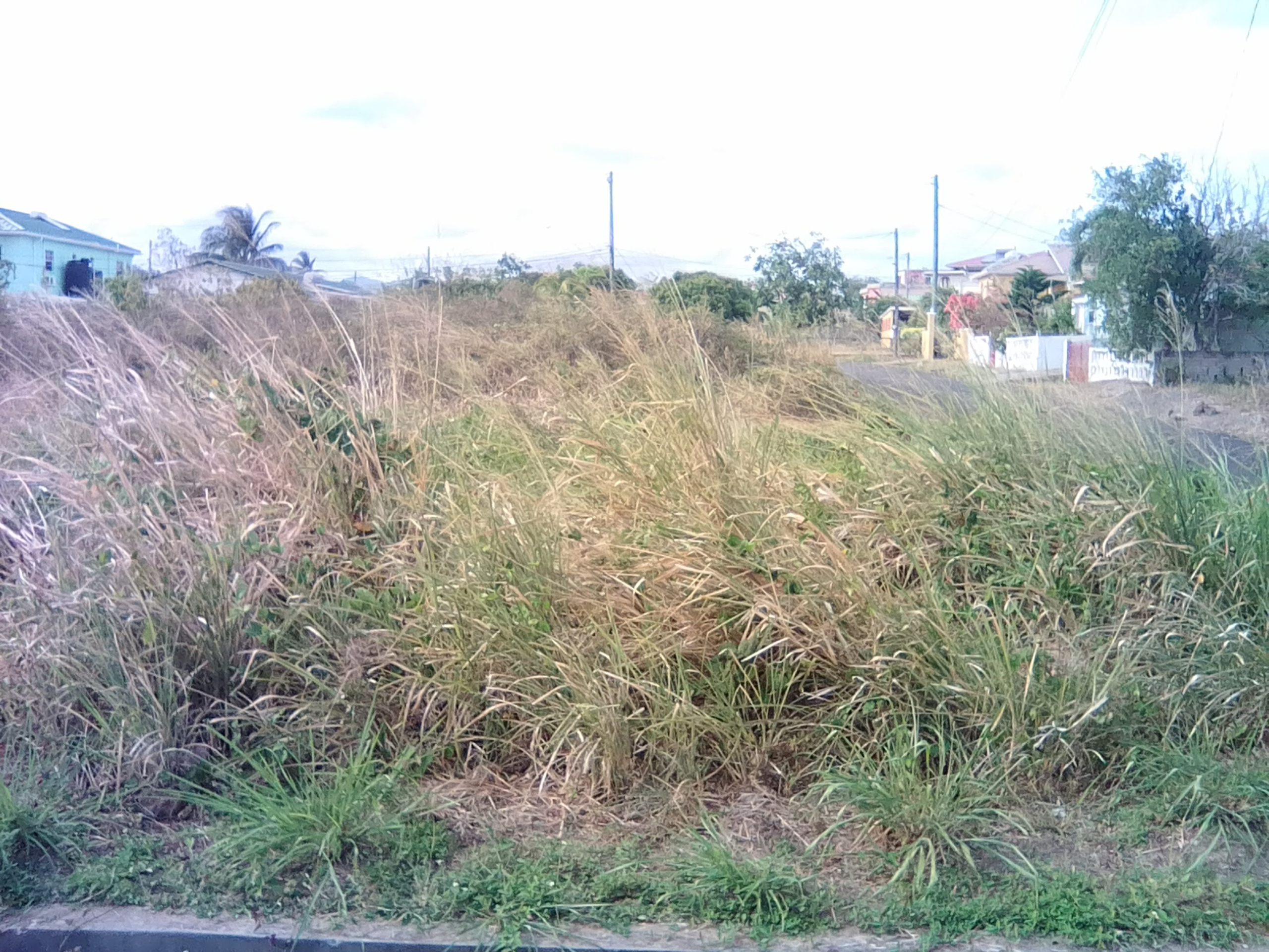 IMG_20170413_160353 st lucia real estate Land for Sale at Beau-se-jour Gros-Islet with views of Cas-en-bas wind