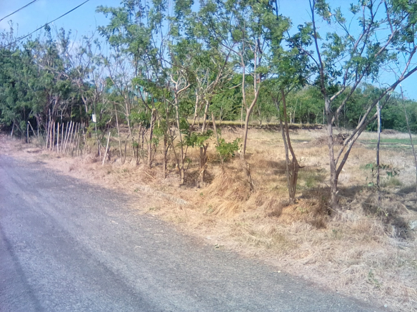 19,150 sq ft of Land for Sale at Black Bay Vieux-Fort Saint Lucia