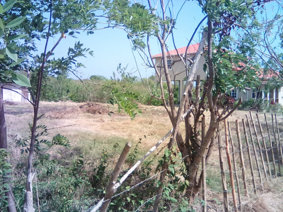 Work Yard For Sale In Cas En Bas For Sale