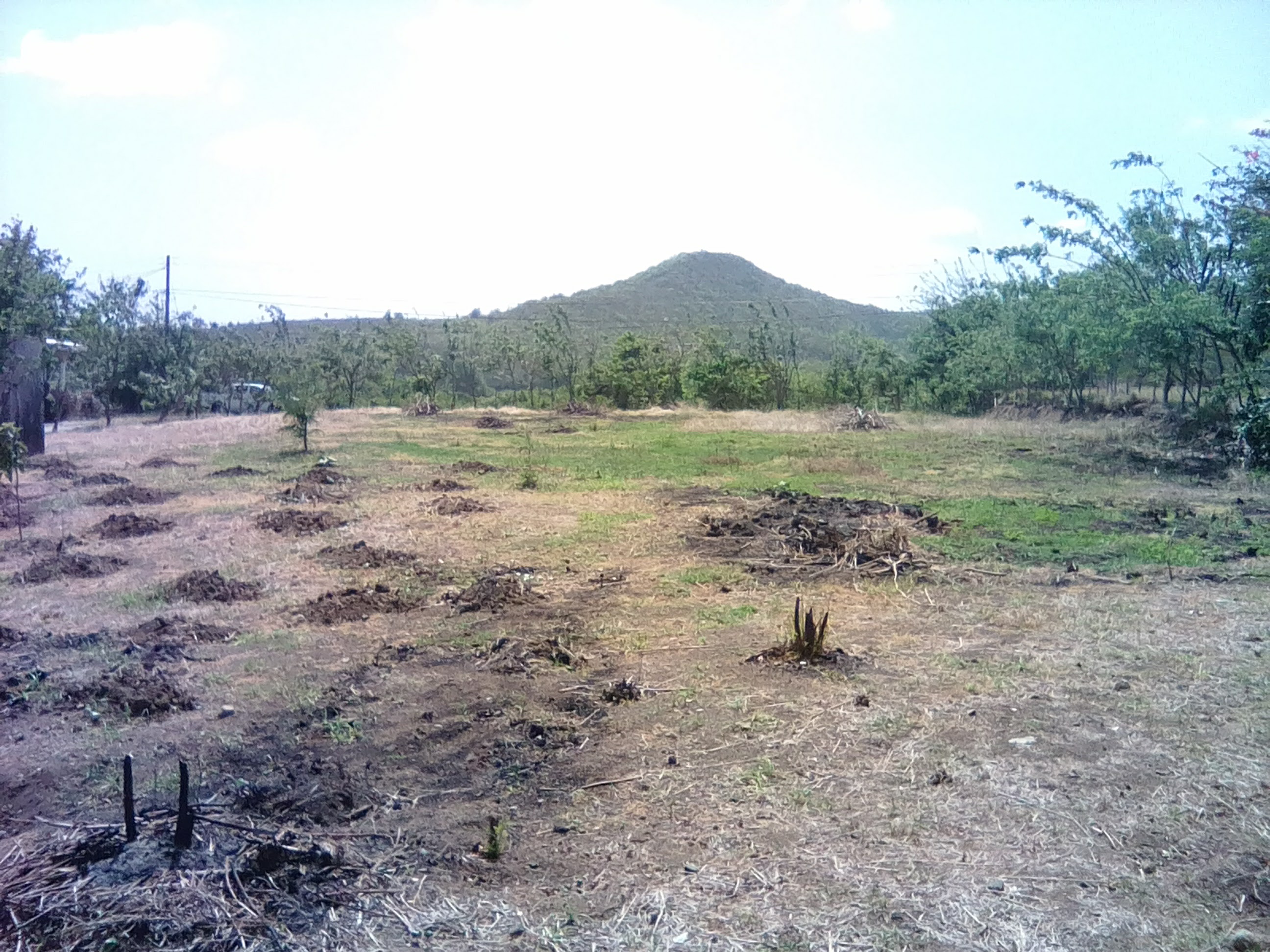19,150 sq ft of Land for Sale at Black Bay Vieux-Fort Saint Lucia