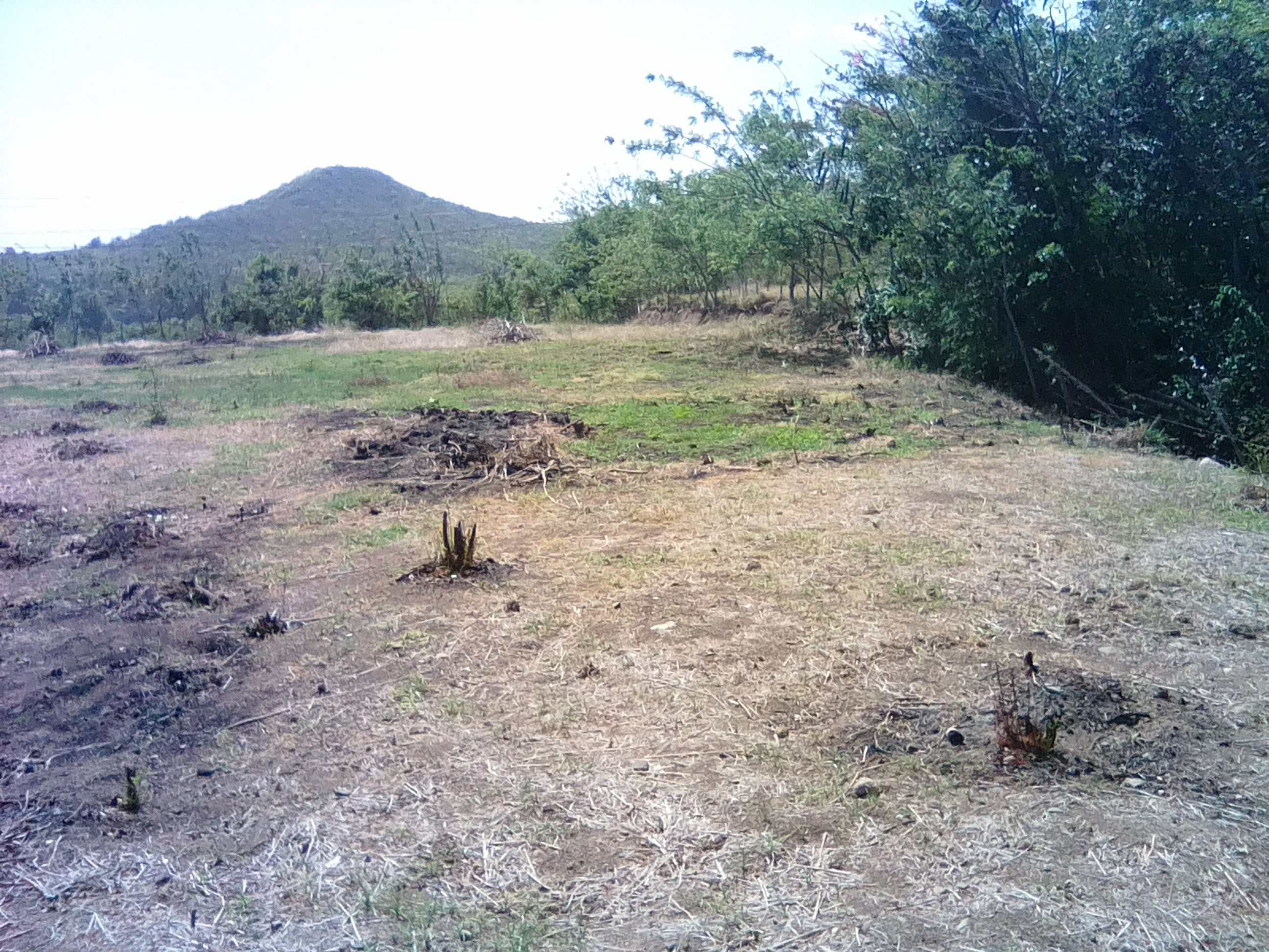 19,150 sq ft of Land for Sale at Black Bay Vieux-Fort Saint Lucia