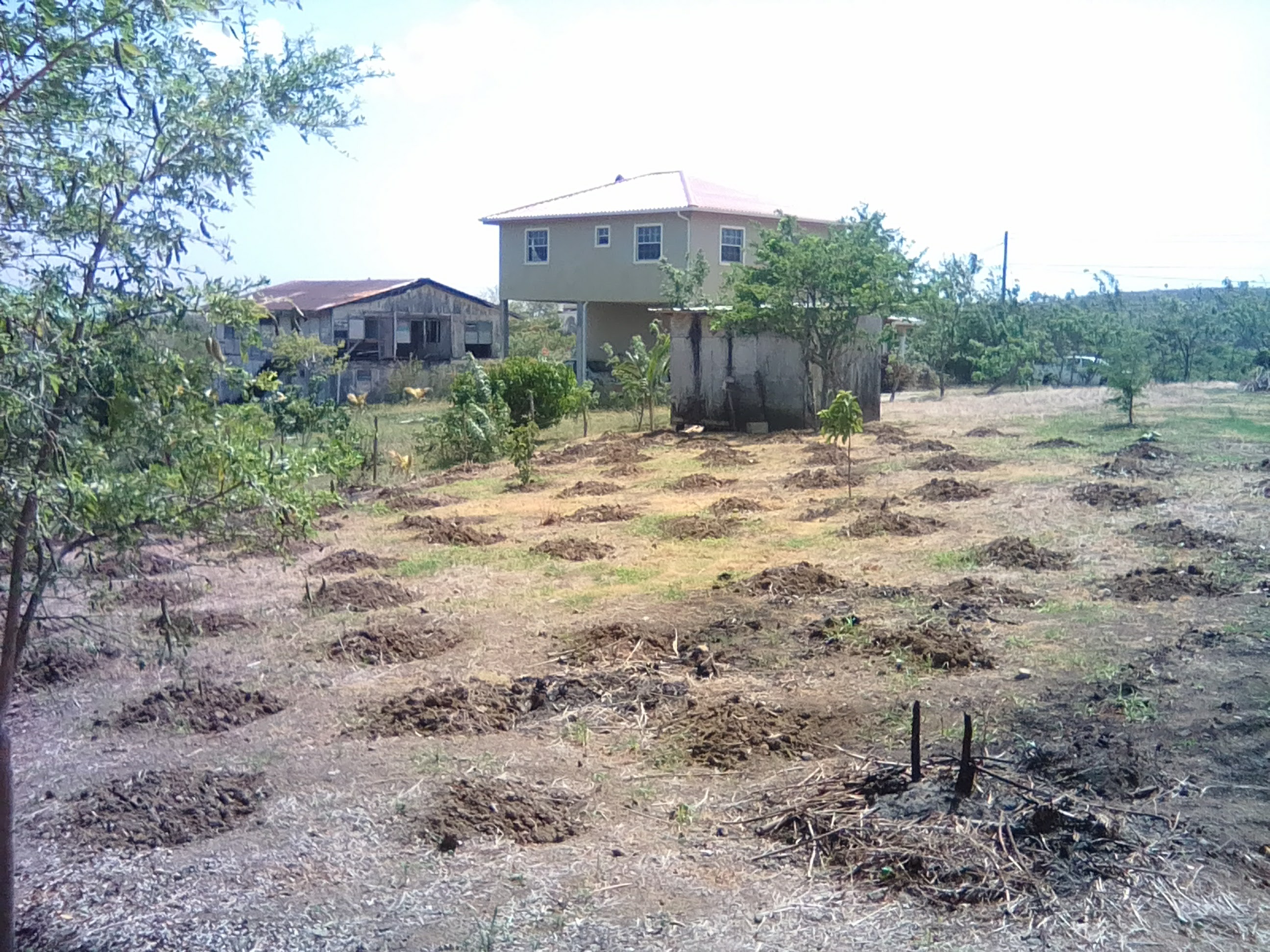 19,150 sq ft of Land for Sale at Black Bay Vieux-Fort Saint Lucia