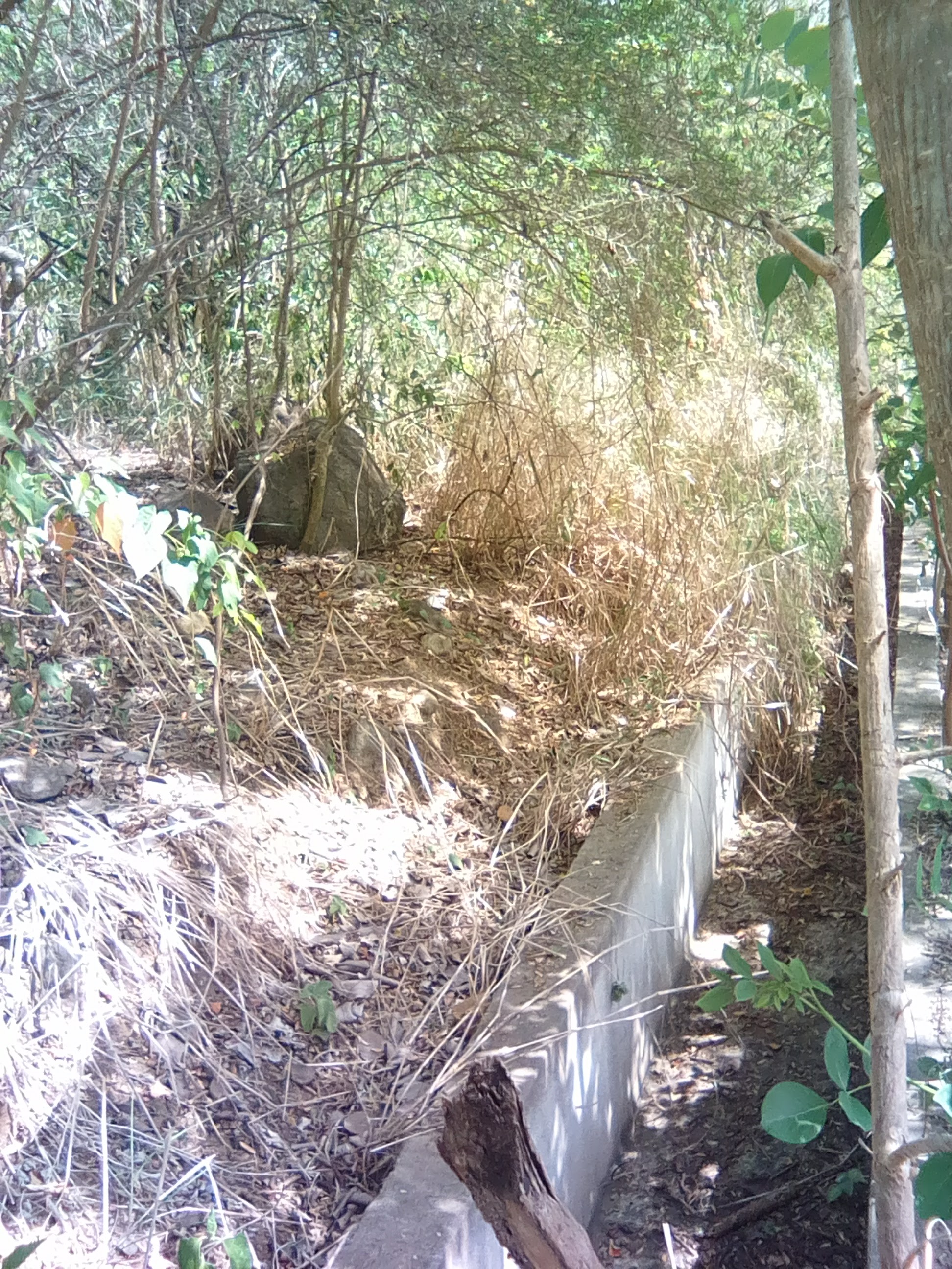 19,150 sq ft of Land for Sale at Black Bay Vieux-Fort Saint Lucia