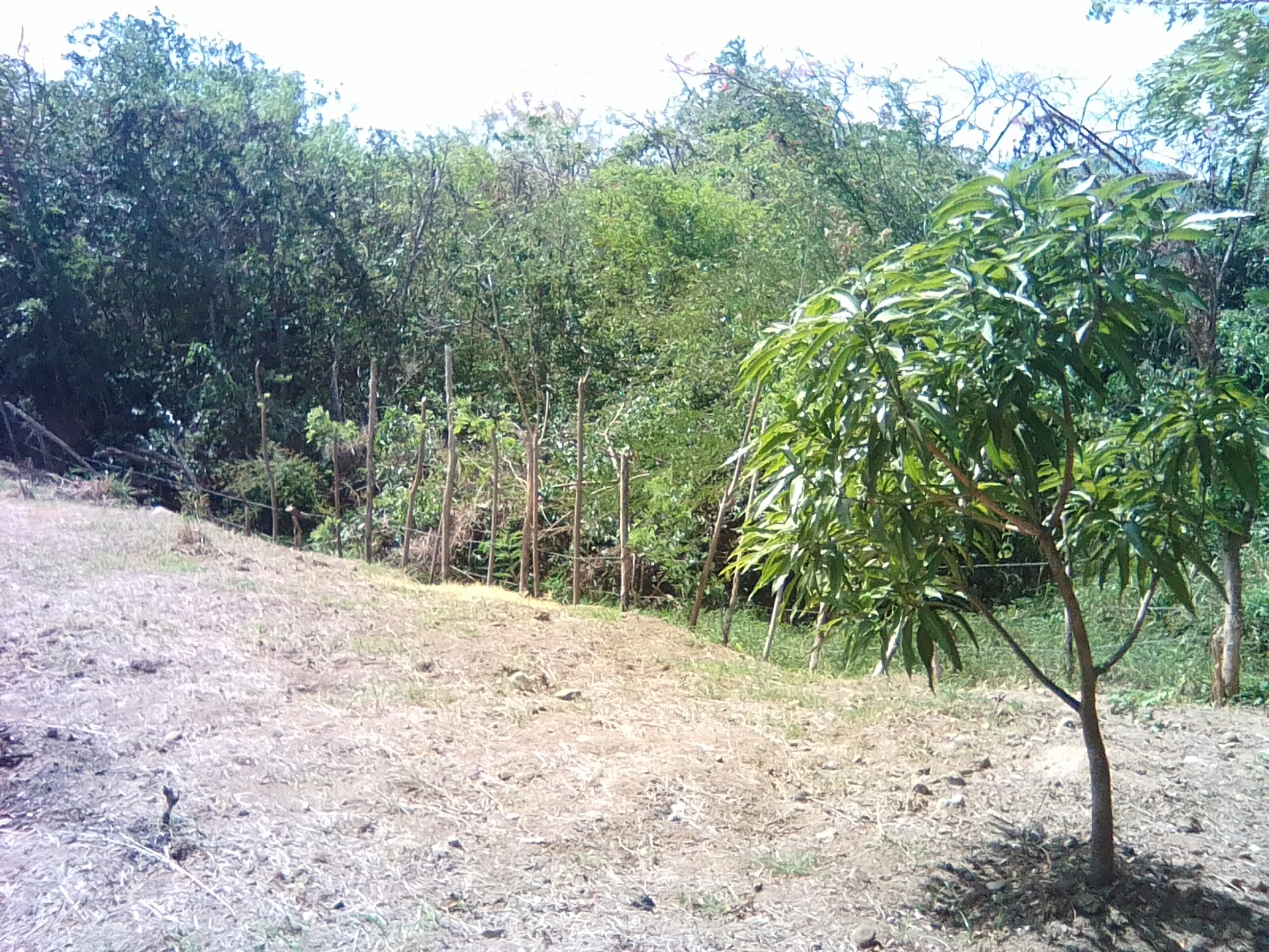 19,150 sq ft of Land for Sale at Black Bay Vieux-Fort Saint Lucia
