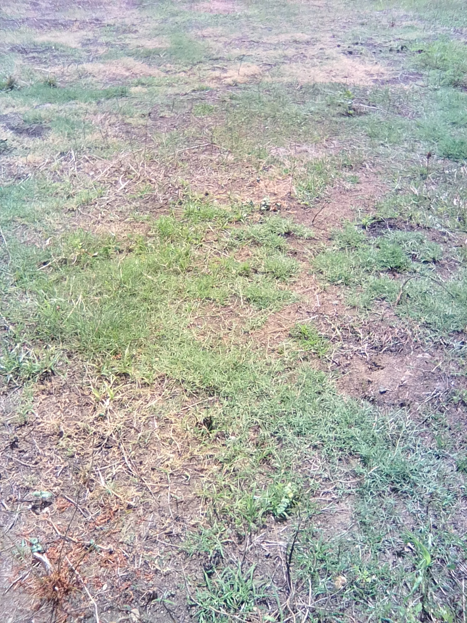19,150 sq ft of Land for Sale at Black Bay Vieux-Fort Saint Lucia