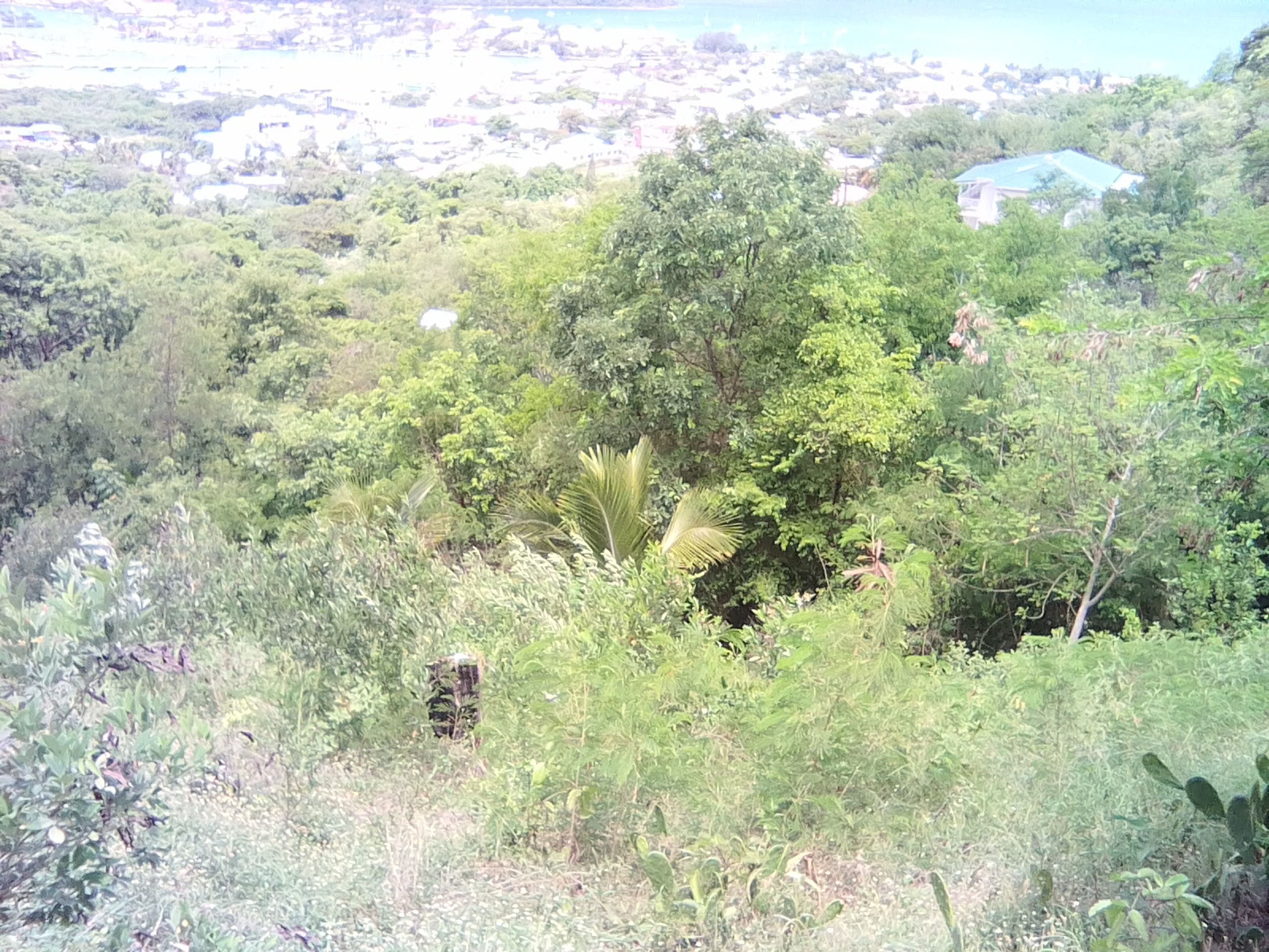 blue reef real estate