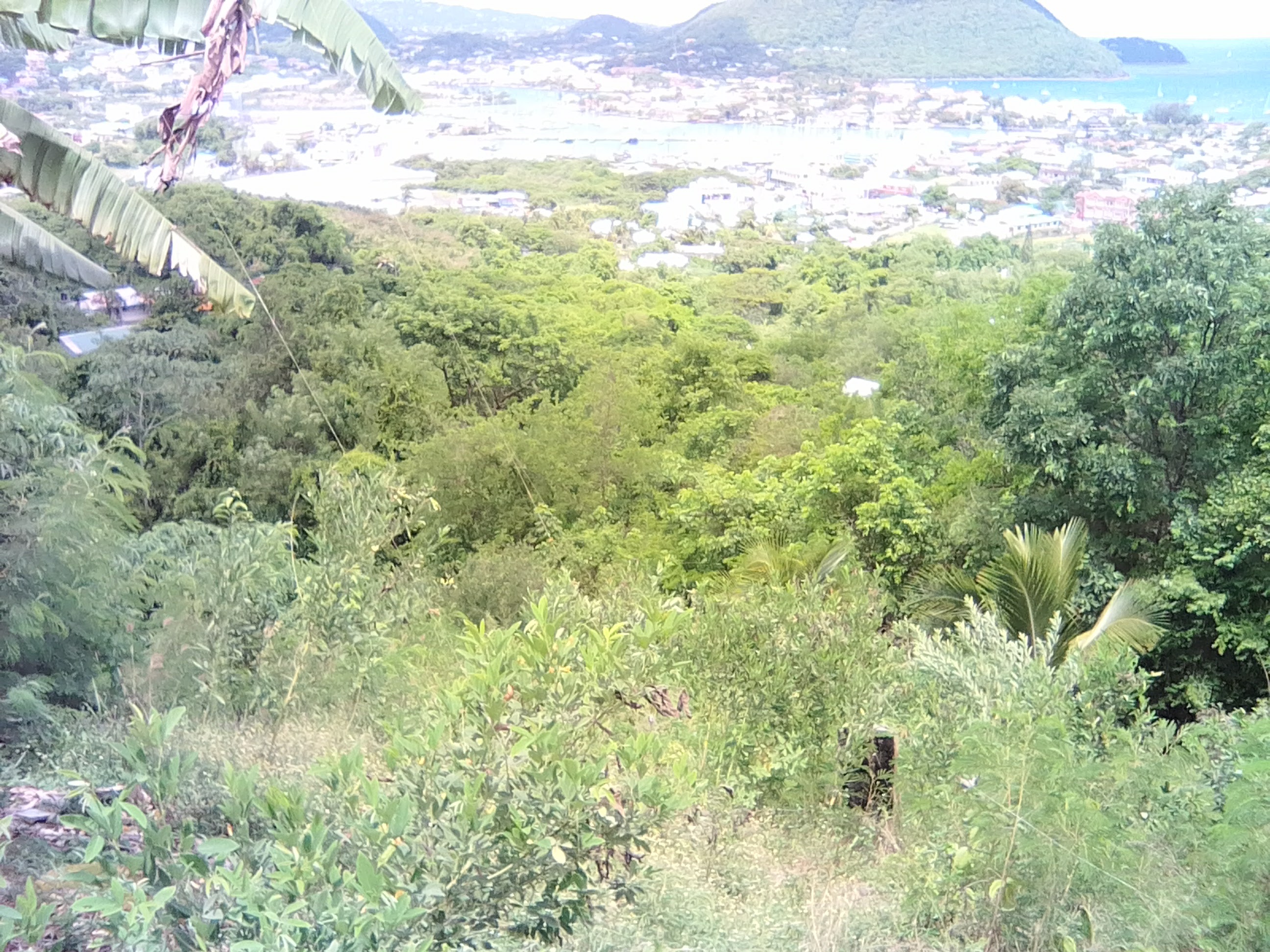 saintlucia land sales