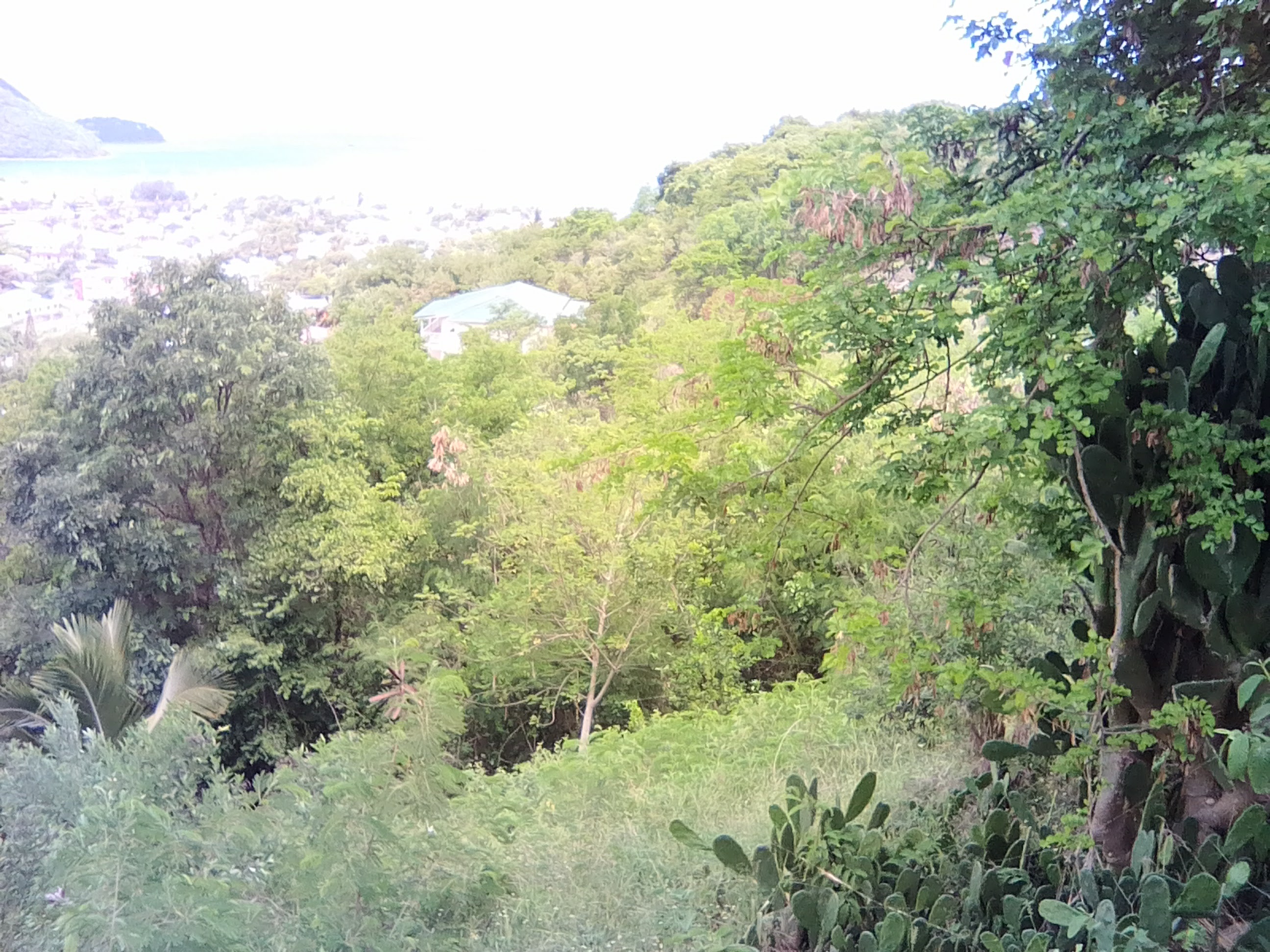 st lucia real estate