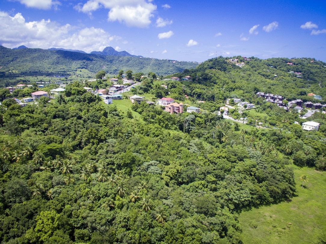 Realty st lucia Marigot2
