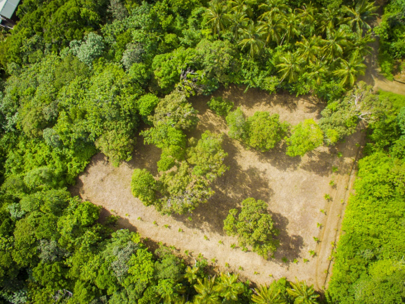 land for sale in vieux fort