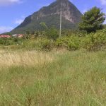 land for sale at Delcer Choiseul