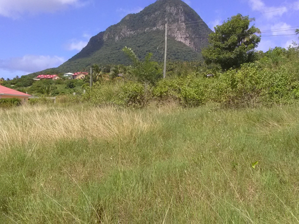 land for sale at Delcer Choiseul