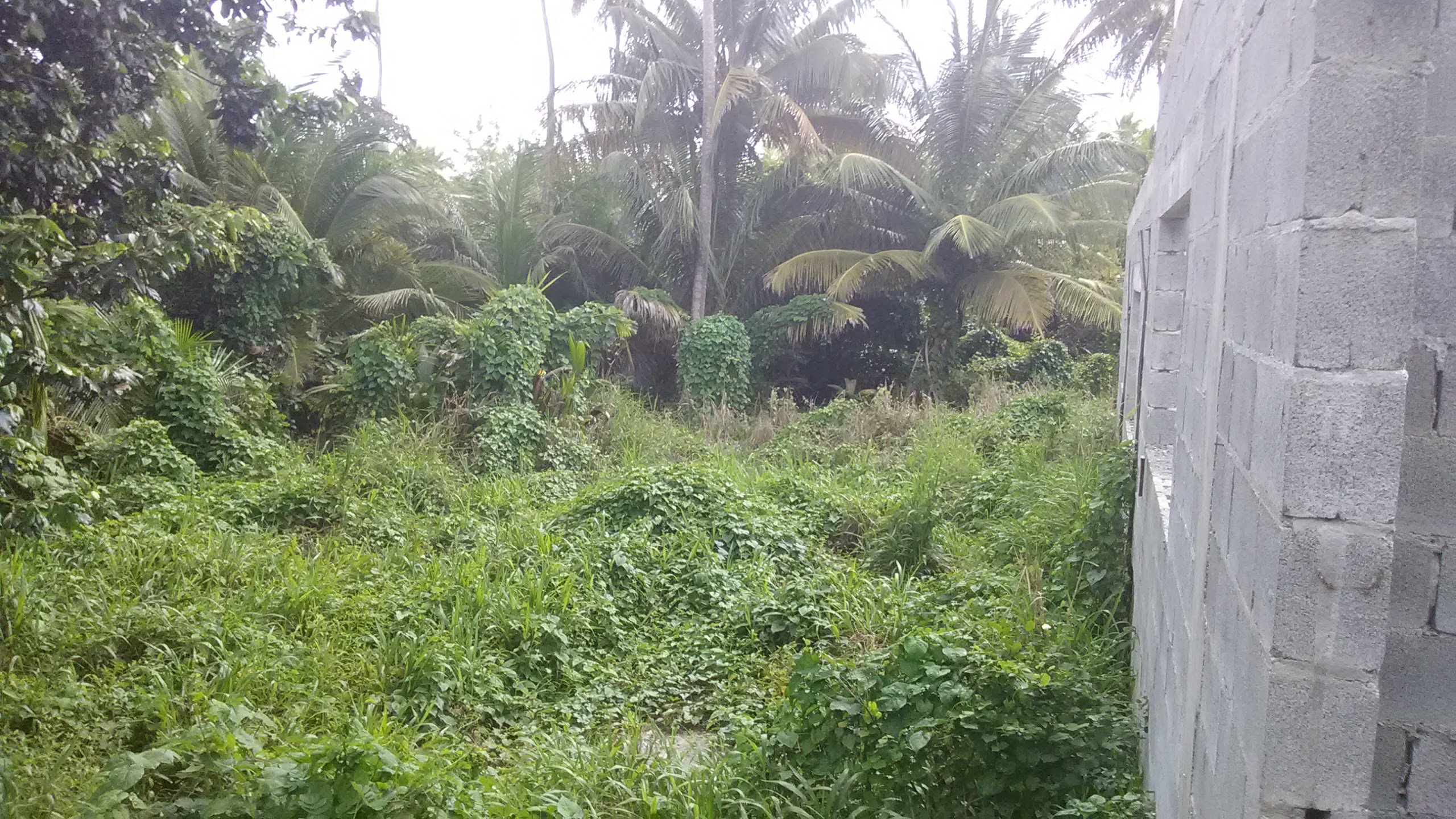 Unfinished house on 8000 sq. ft. of land at Balembouche Choiseul