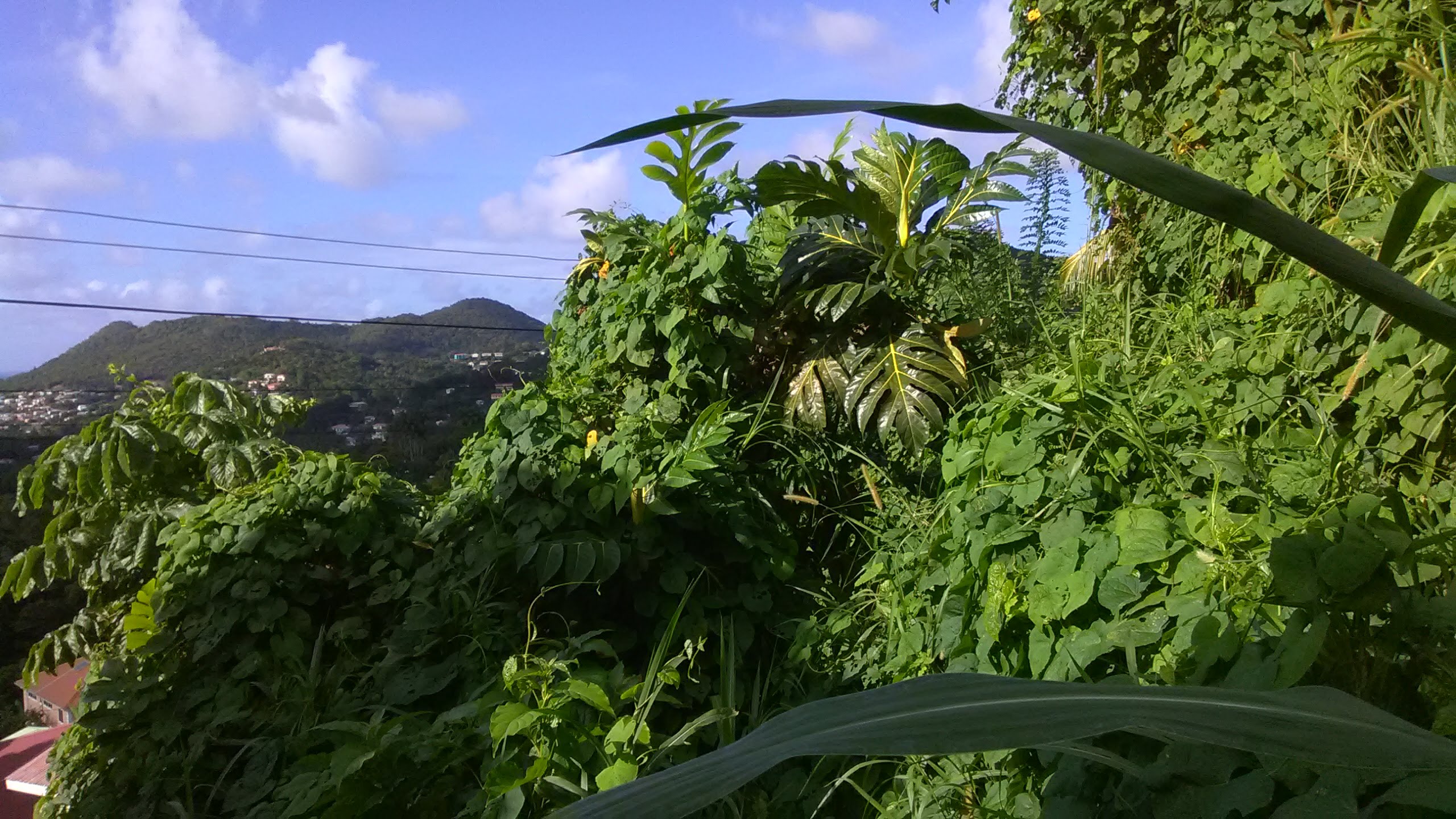 house for sale choiseul