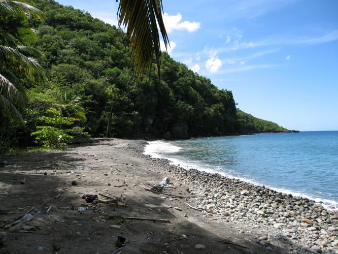 243 Acres of Caribbean Sea Beach Front Land for Sale in Saint Lucia